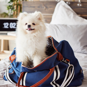 Saint Maniero Premium Reisetasche I Weekender I Sporttasche I Schultertasche I Dufflebag atmungsaktiv I Fitnesstasche I Vintage Tasche gross I Reisegepäck I Sportbag I Freizeittasche I Segeltuchtasche